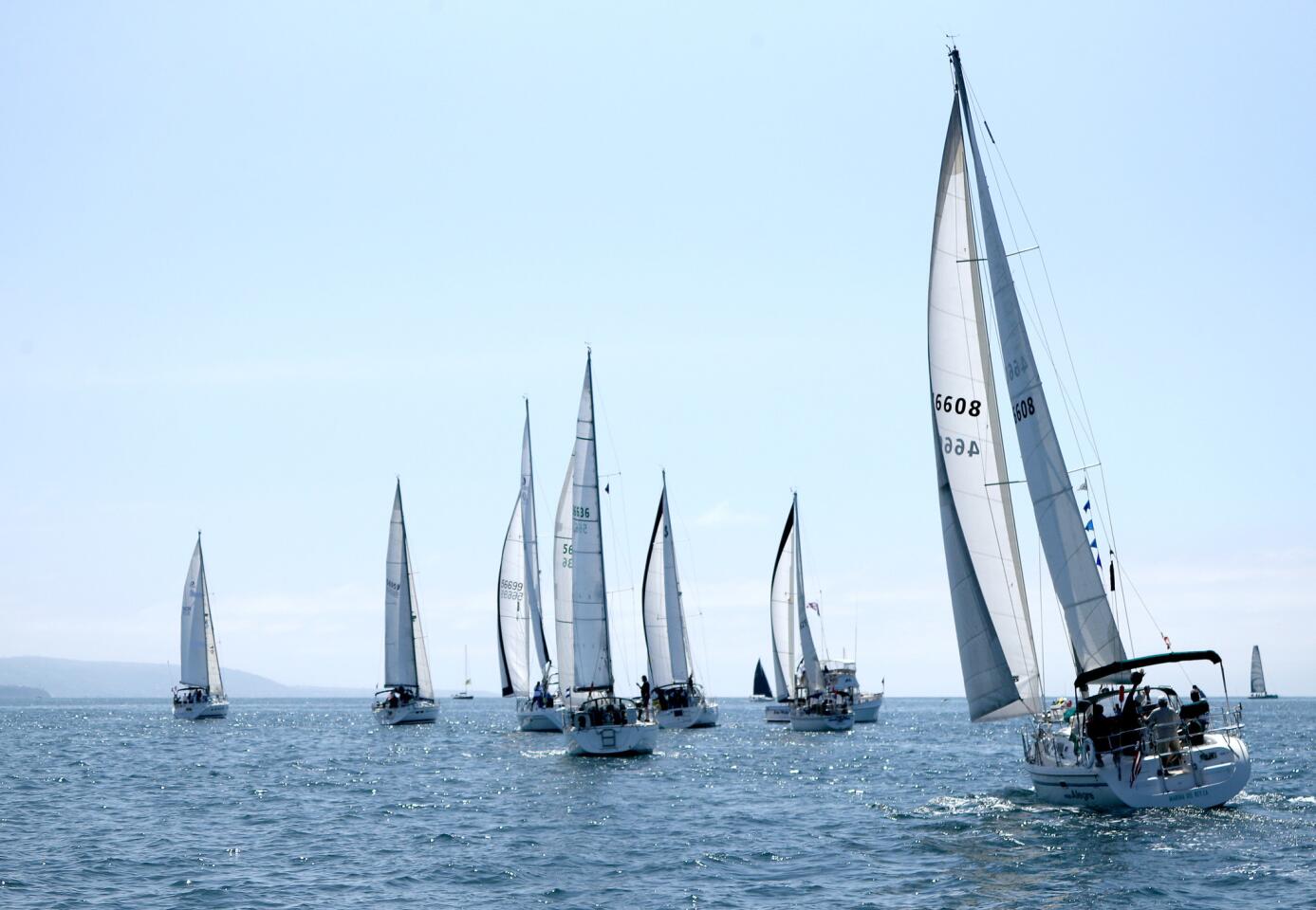 Photo Gallery: Newport to Ensenada International Yacht Race