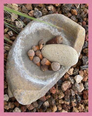 Rocks and acorns.