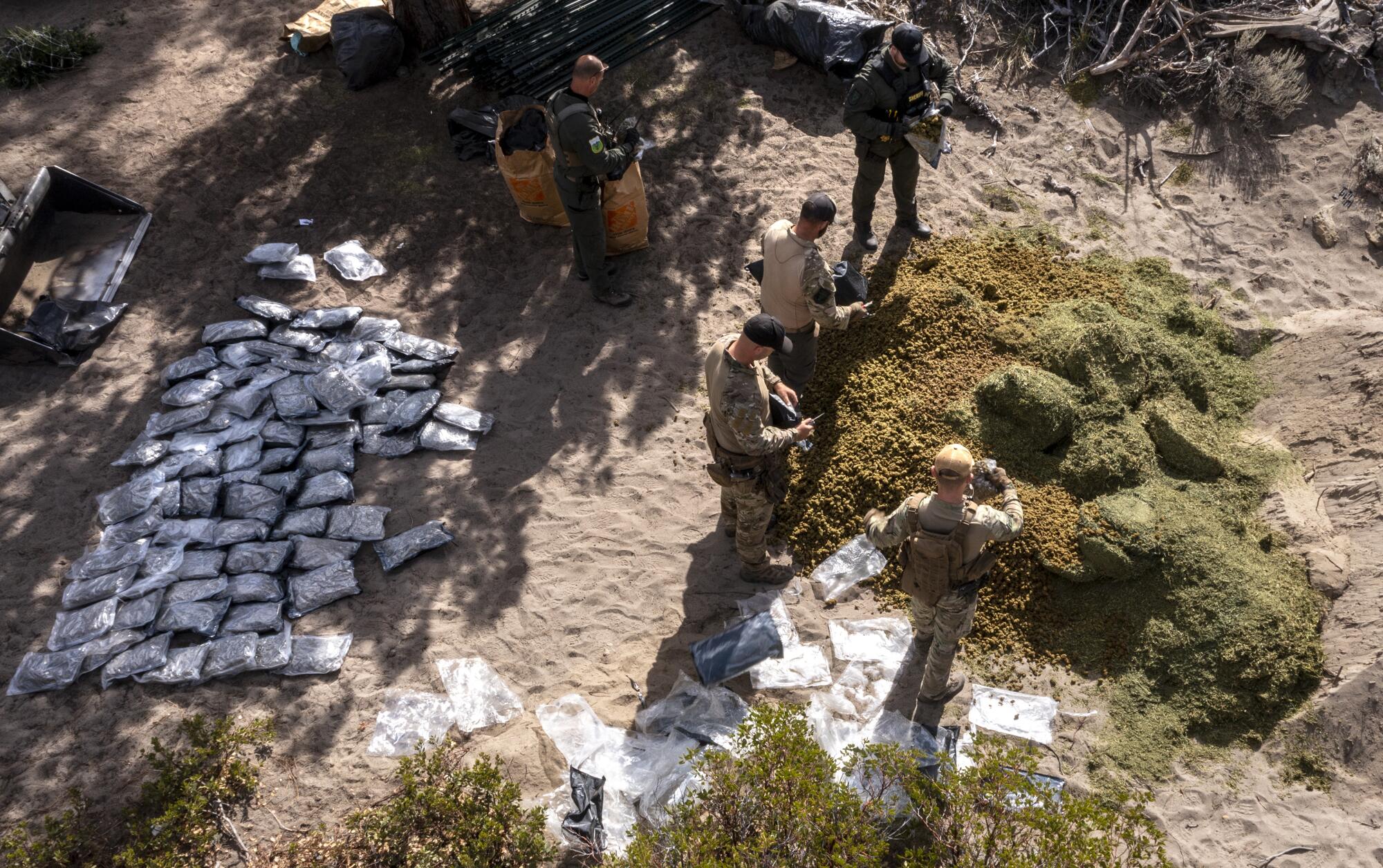 Law enforcement officers raid an illegal cannabis farm in Siskiyou County. 