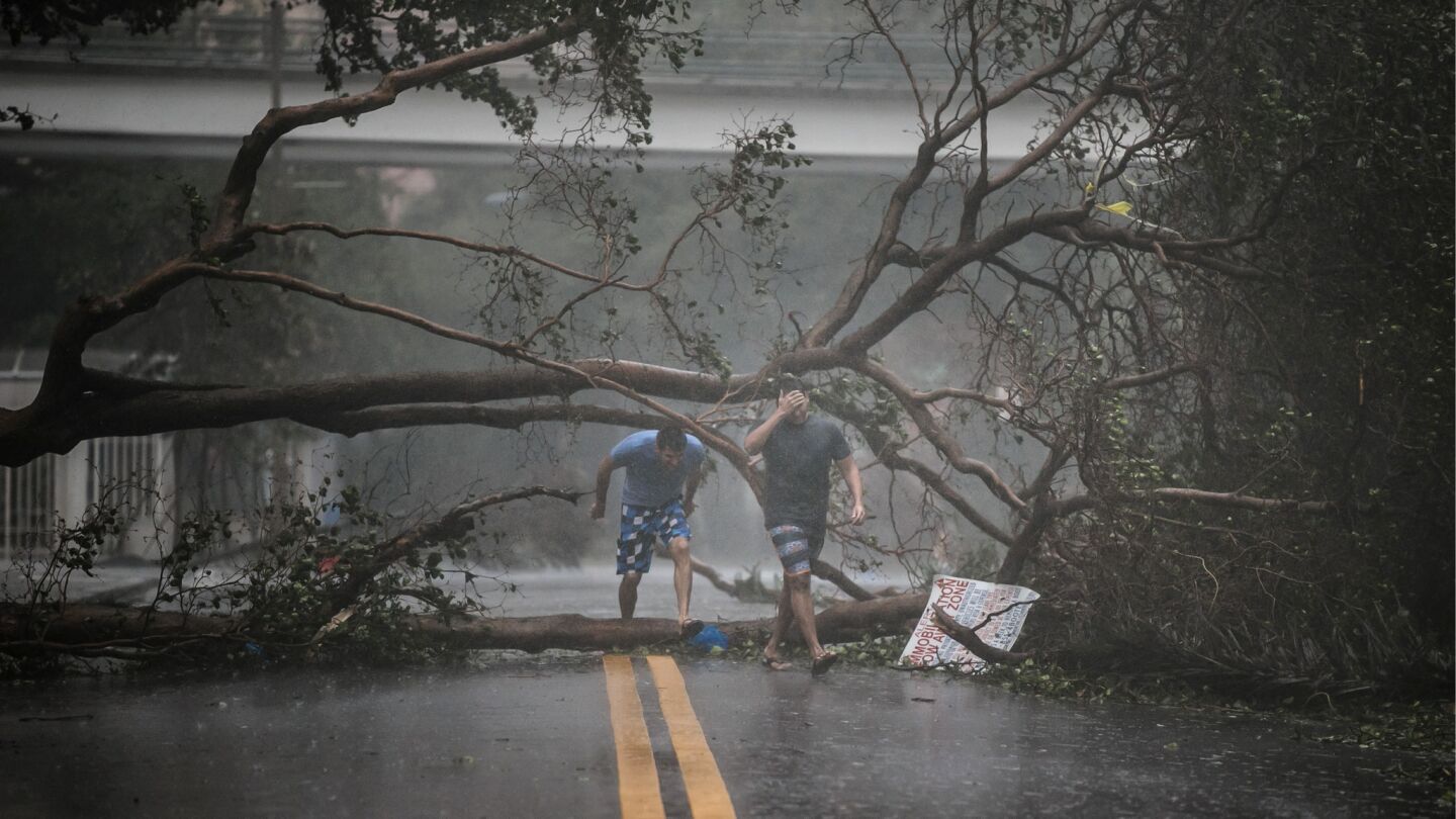 Two men walk through a downed tree as Hurricane Irma's full force strikes Miami.