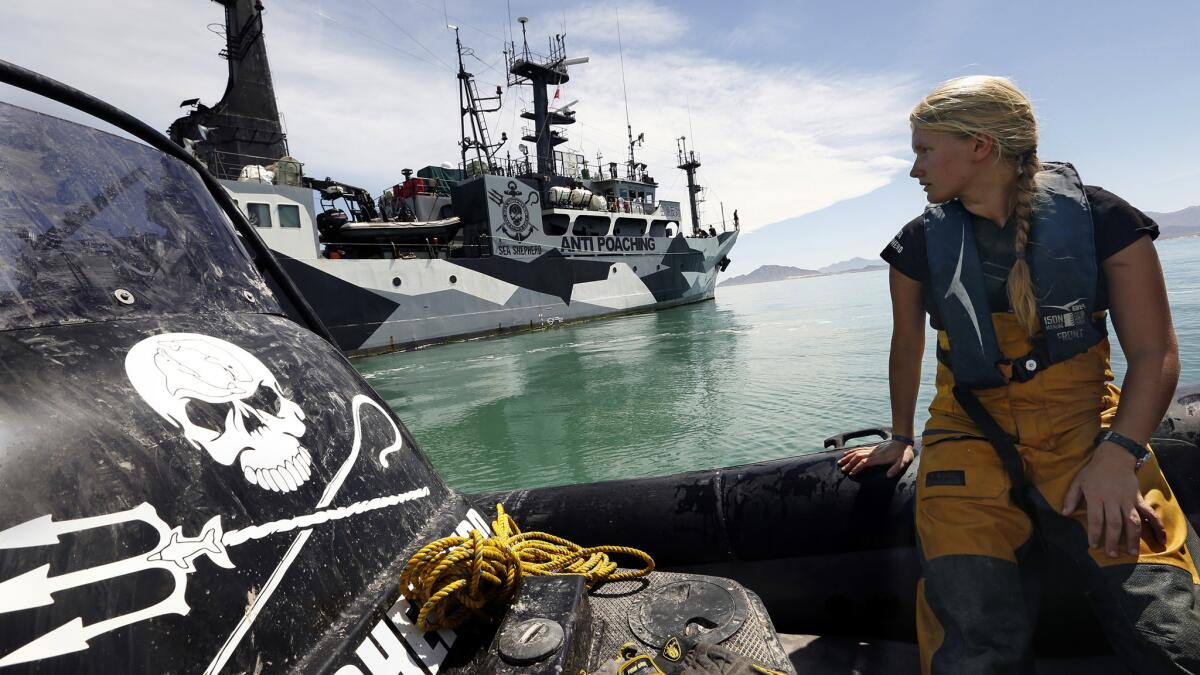The Sea Shepherd activists embrace an attitude that could be called "pirate-punk."