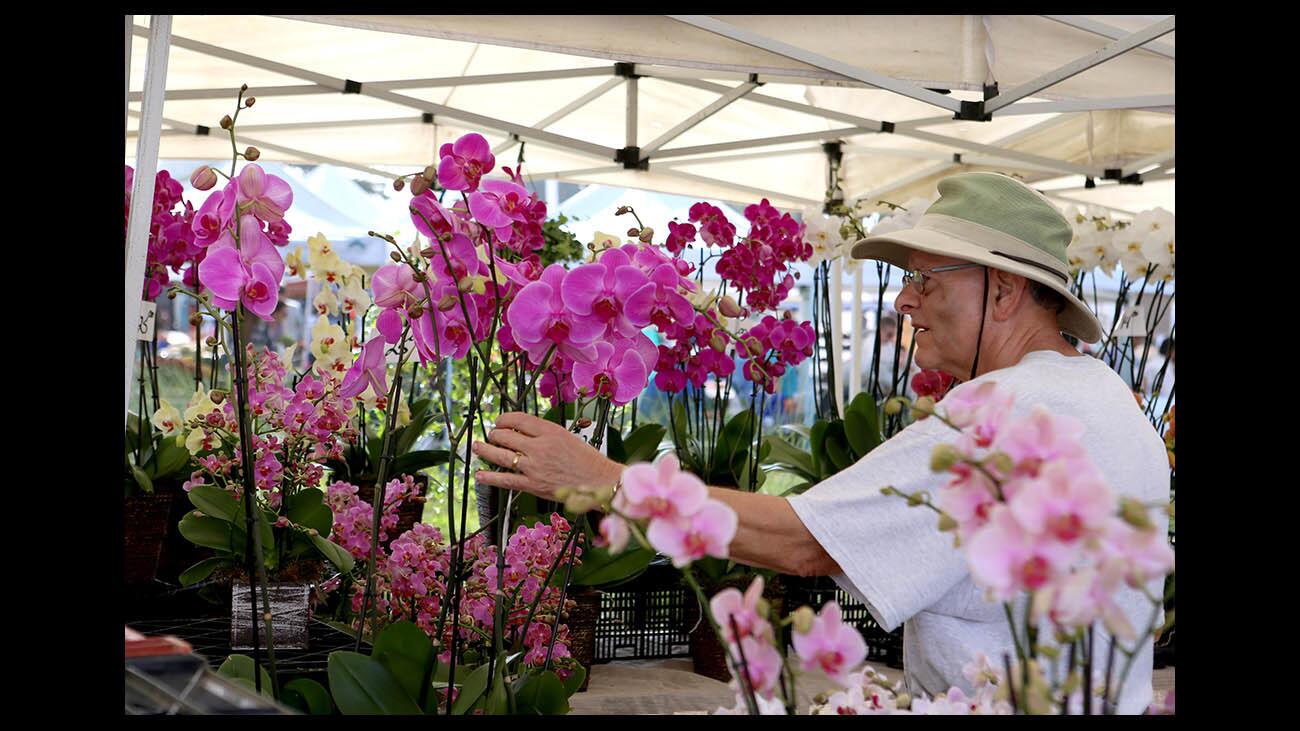 Photo Gallery: Farmer's Market offers wide variety of organic fruits, vegetables, meats along with flowers, nuts, cheese and juices