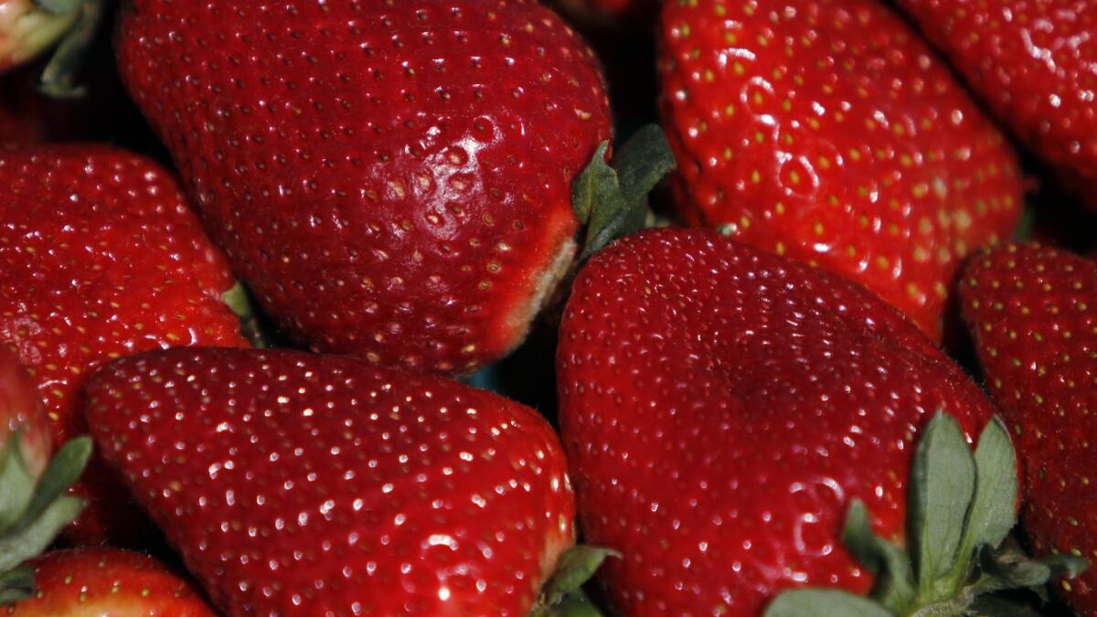 Strawberries are the subject of yet another custody battle in California agriculture.