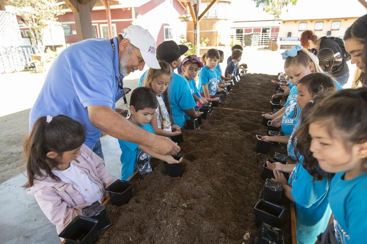 Osman Dadabhoy, left, a volunteer with Centennial Farm at the OC Fair & Event Center in Costa Mesa, works with first-grade students from Dolores Street Elementary School in Carson to plant radish seeds on Thursday. Centennial Farm will celebrate its 30th anniversary with a community barbecue on Saturday.