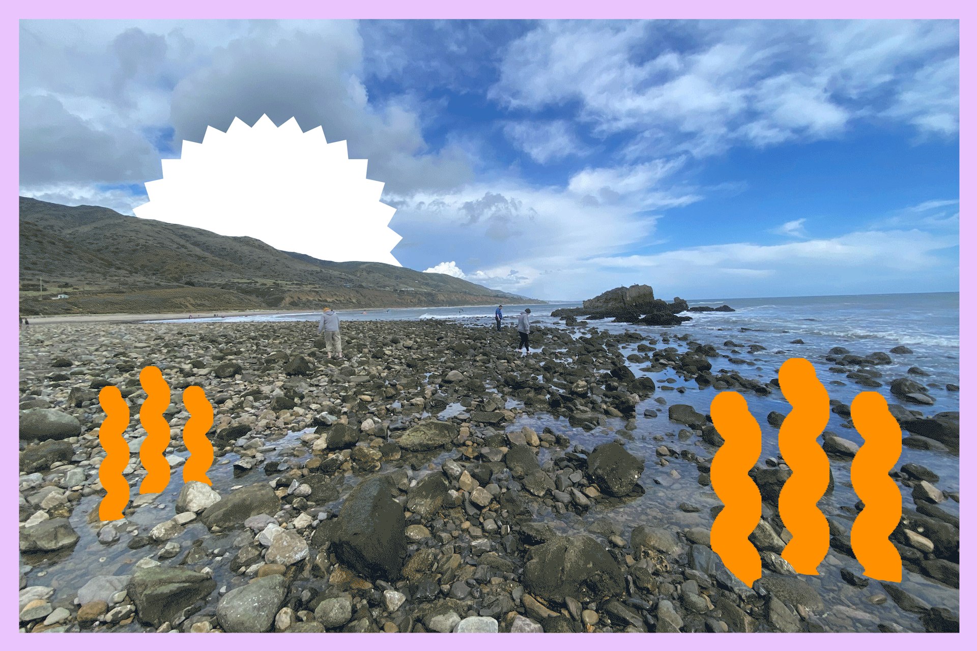 Why this weekend is an exceptional time to visit L.A.'s tide pools