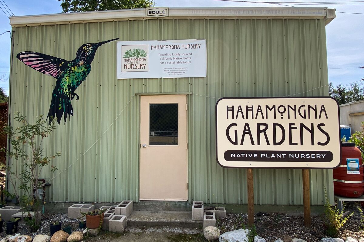 A shed with a large hummingbird painted on it and a "Hahamongna Gardens" sign 
