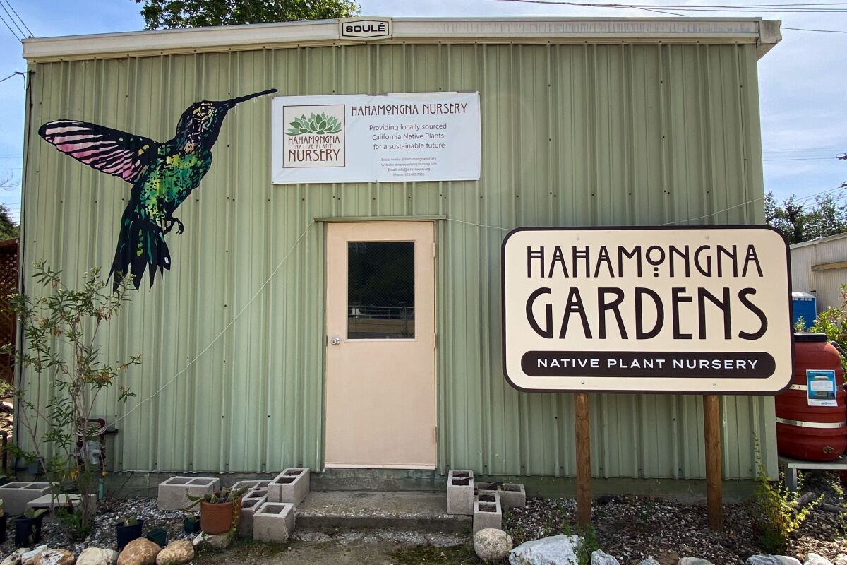 A shed with a large hummingbird painted on it and a "Hahamongna Gardens" sign