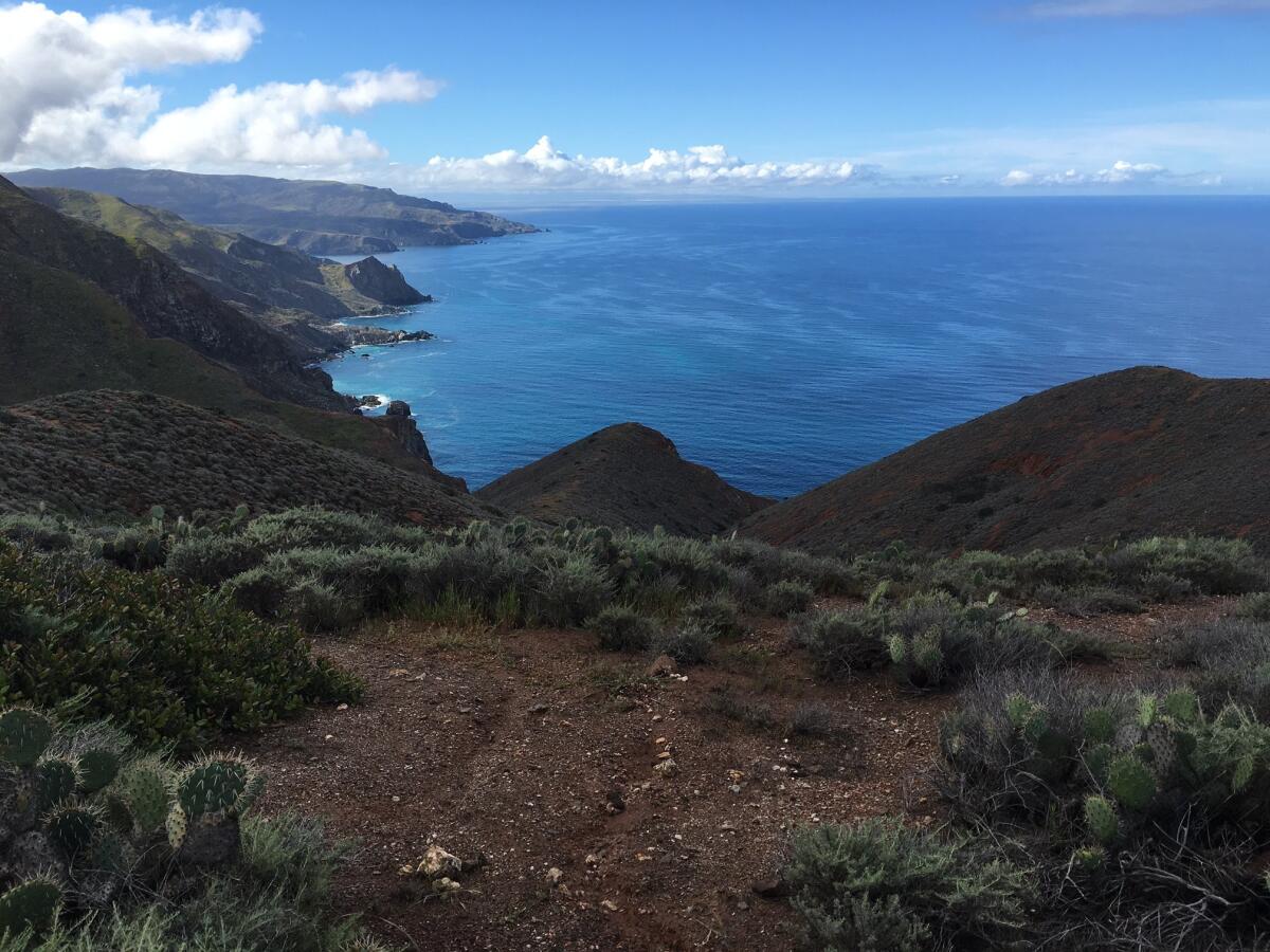 The view from a hiking trail on the west side of Santa Catalina Island.
