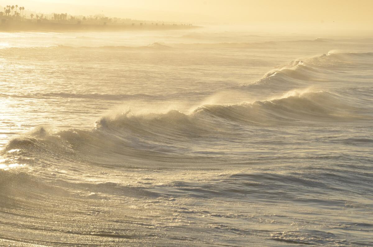 Early morning waves roll past the Huntington Beach Pier.