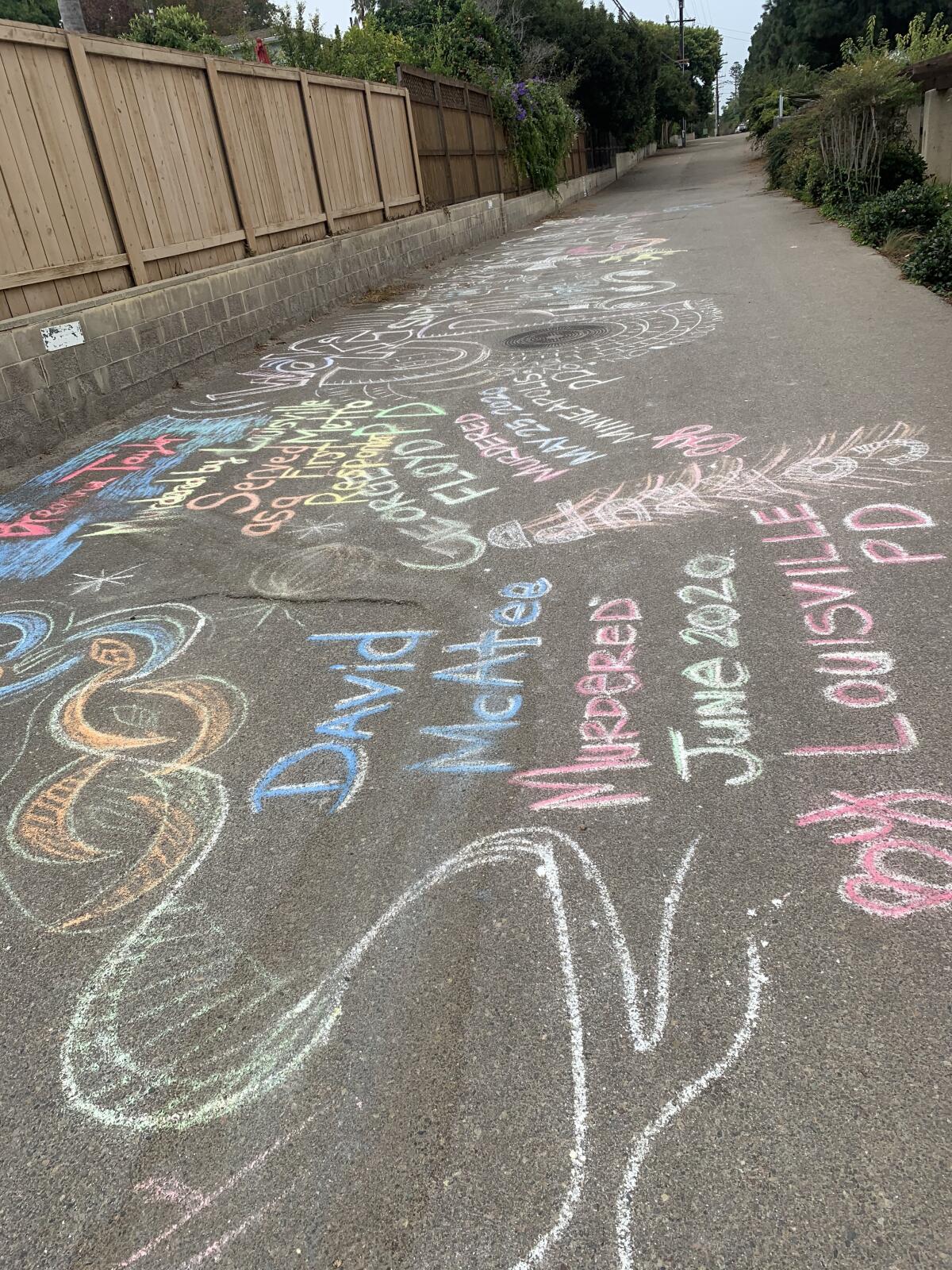 A small group drew messages and images in chalk on the La Jolla Bike Path on Sept. 25.