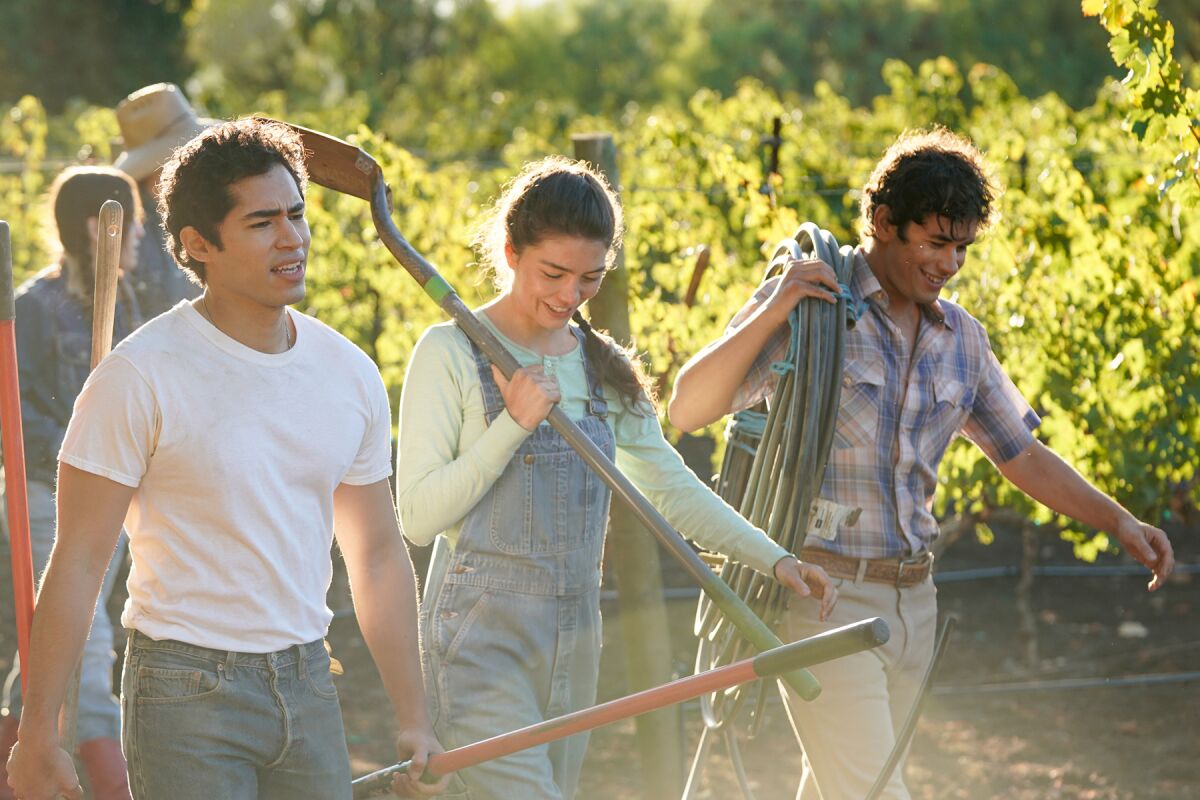 Two men and a woman walk through a sunlit vineyard carrying gardening tools