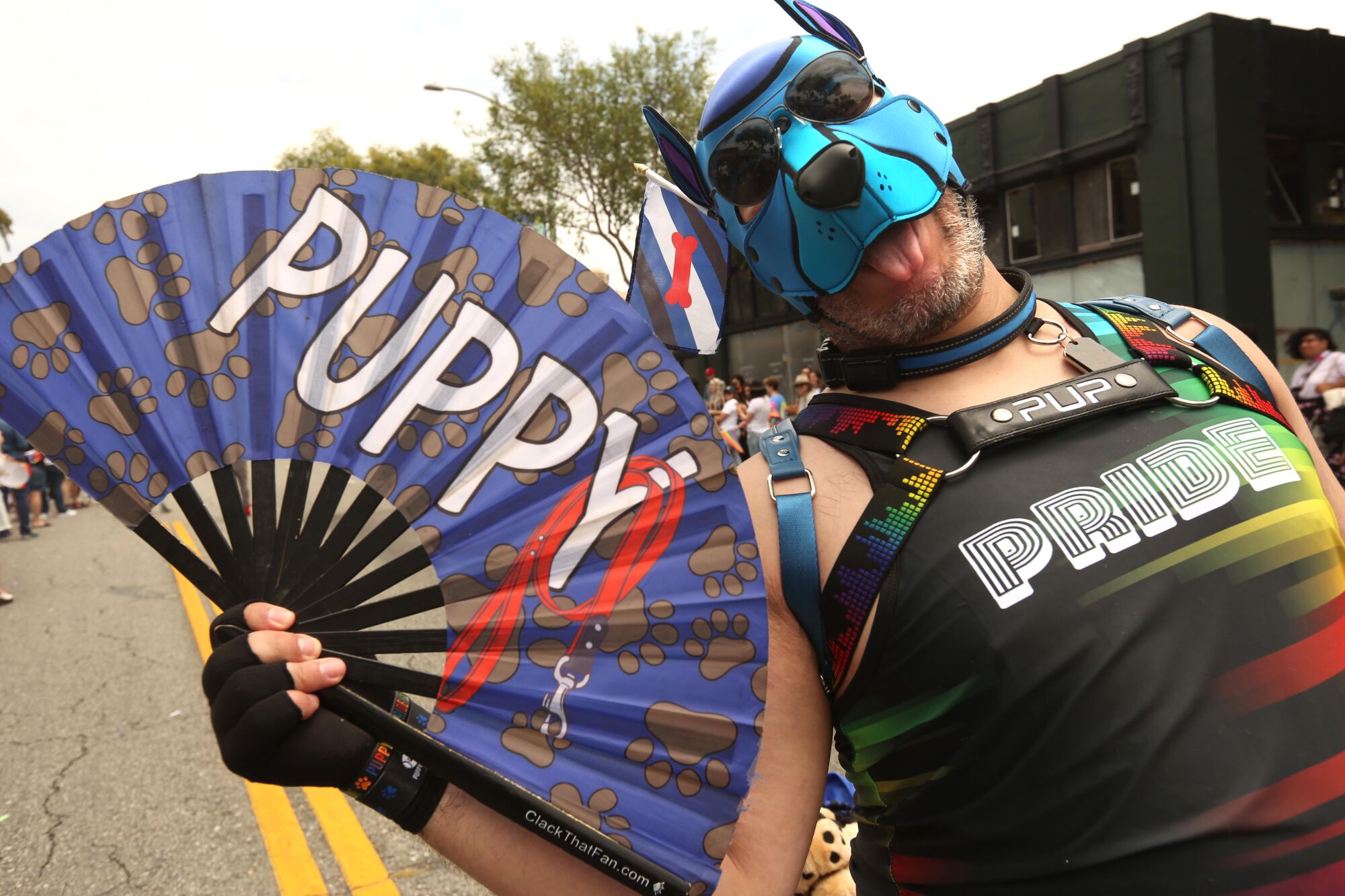 A man spreads a fan that says "puppy" with a leash and wears a leather mask.