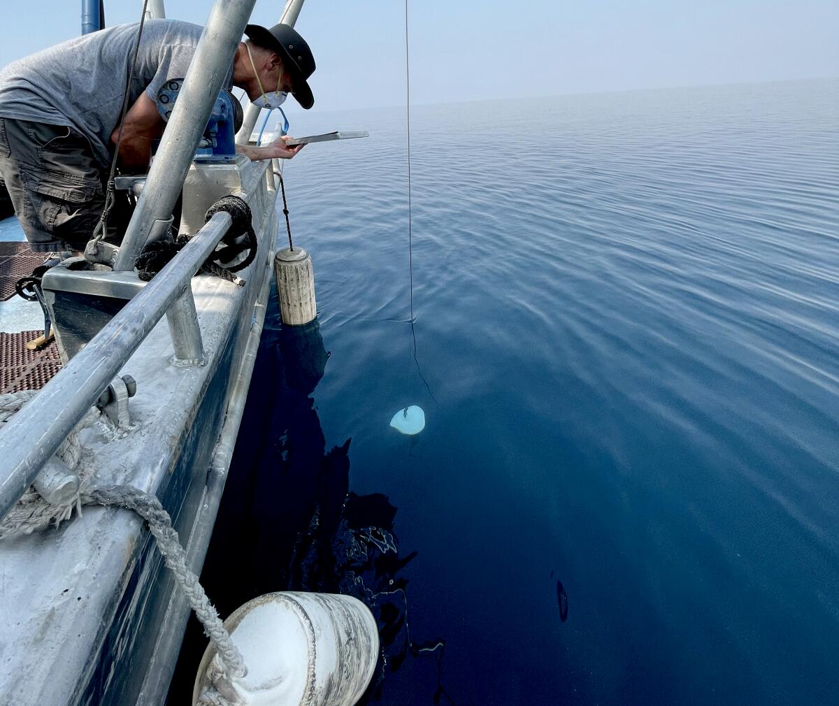 UC Davis researcher Brant Allen lowers a tool called a Secchi disk into Lake Tahoe.