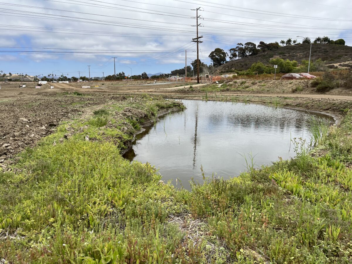 The San Dieguito Lagoon restoration project off El Camino Real.
