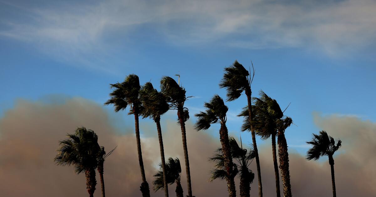 Görüş: Los Angeles'ın tahliye bölgesinin dışından nezaket konusunda 5 ders