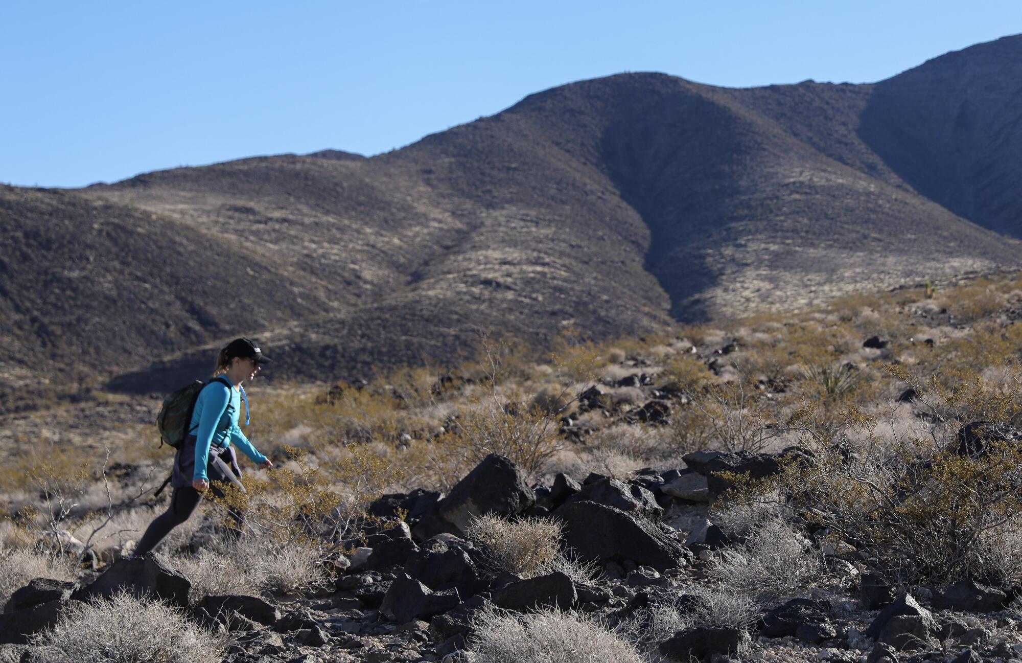 Solar panels could save California. But they hurt the desert - Los Angeles  Times