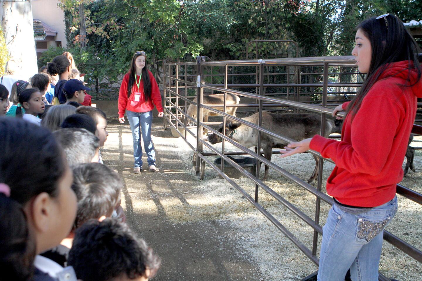 Reindeer Romp reindeer keepers Michele Watkins, left, and Chayanna Smith, right, talk to children about the reindeer at the Los Angeles Zoo, in L.A., on Tuesday Nov. 29, 2016. Along with the reindeer area, there is also an area where children can take their photo with Santa.