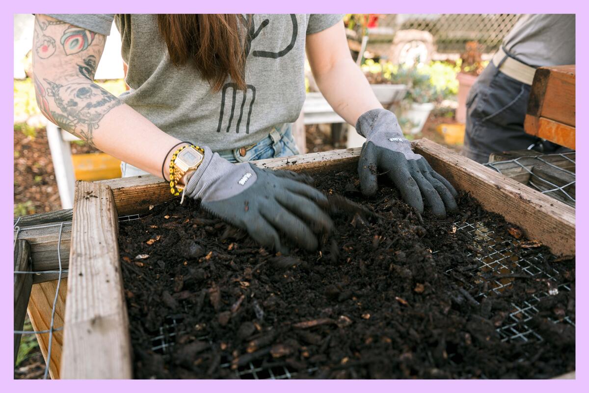 A person sifts and separates compost with gloved hands