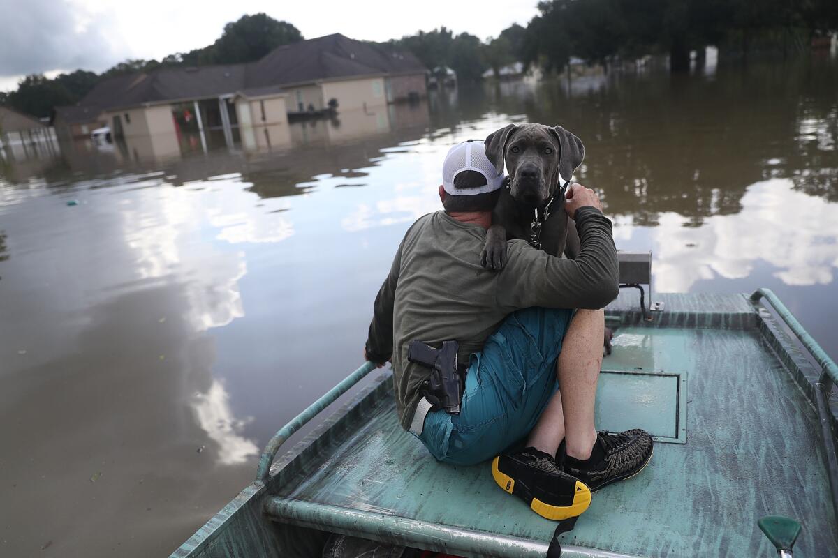 Travis Guedry and his dog Ziggy glide through floodwaters, keeping an eye out for people in need in Sorrento, La., on Wednesday.