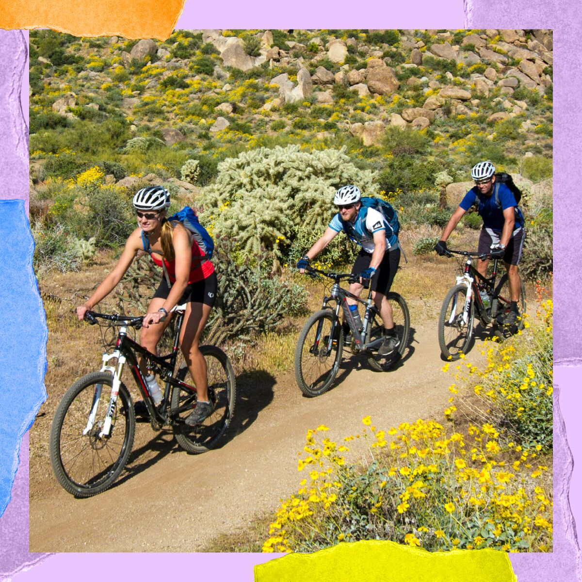 Three people on mountain bikes riding on a path beside bushes, rocks, and flowers.