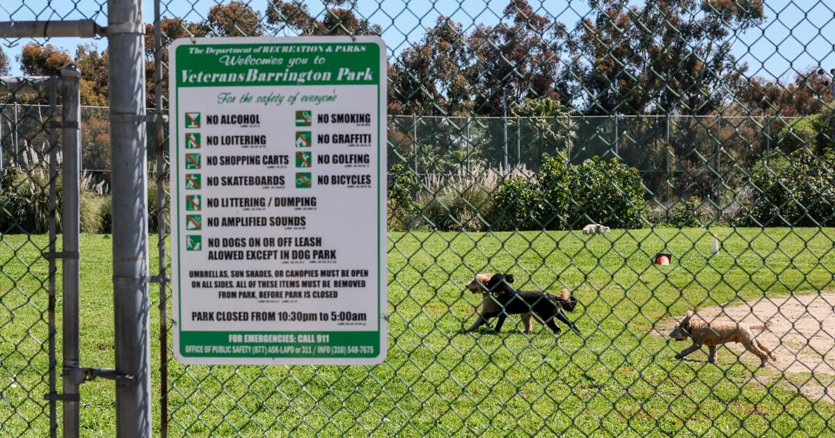 Bitten by a billionaire's dog? Or a case of extortion? A legal saga from an L.A. dog park