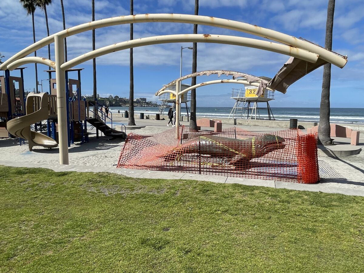A shade sail over the playground at Kellogg Park needs to be replaced.