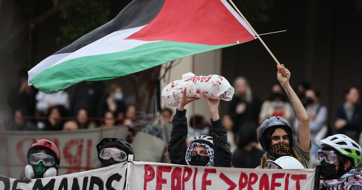 Divestment from Israel roils universities. Would it work? Some are dubious Divestment from Israel roils universities. Would it work? Some are dubious