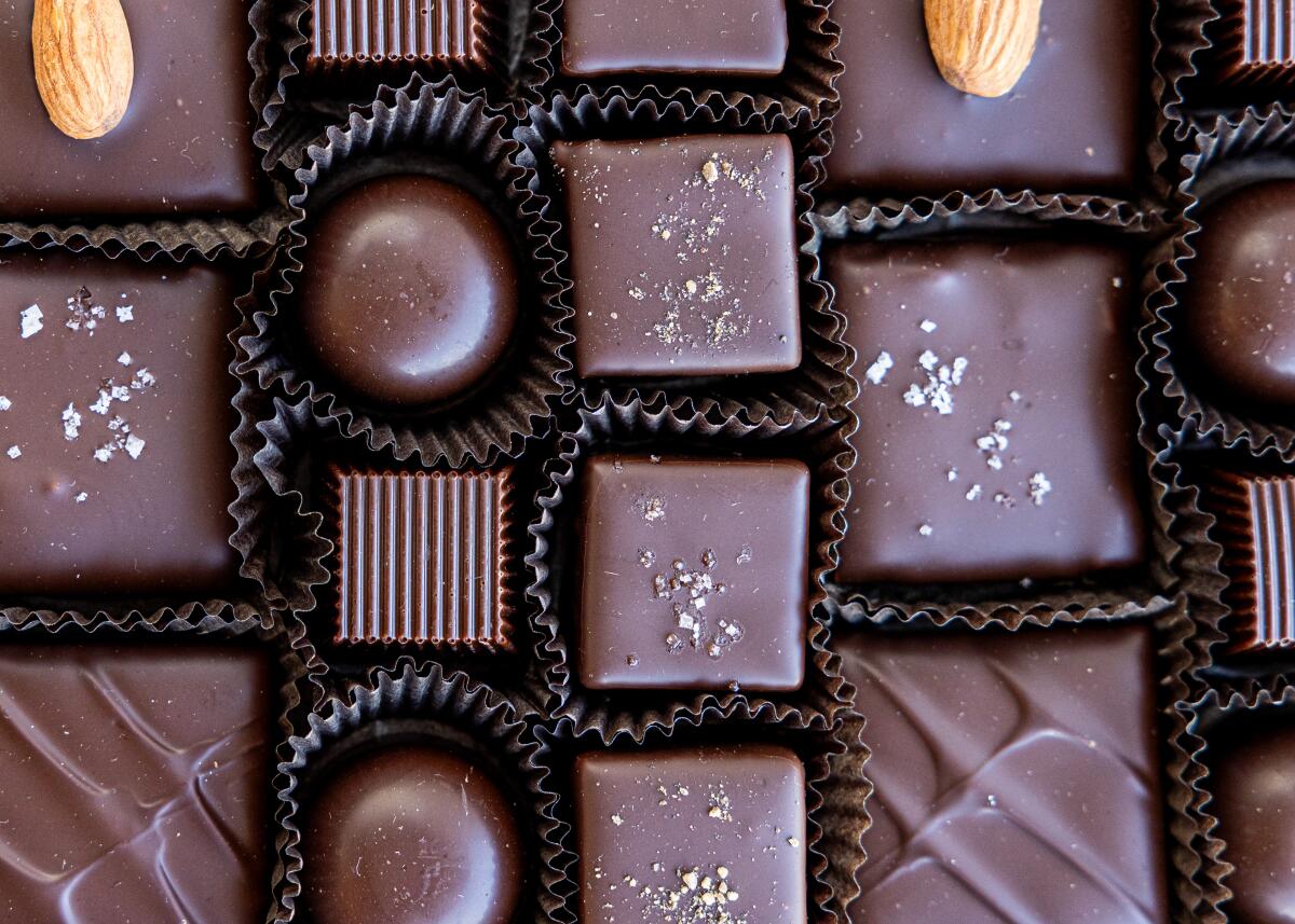 A closeup of several chocolate bonbons, some sprinkled with salt