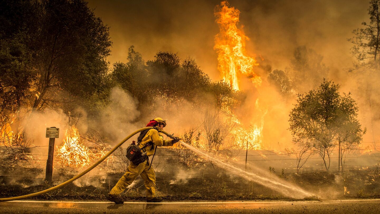 A Cal Fire firefighter waters down a back burn on Cloverdale Road near the town of Igo on Saturday, July 28, 2018. The back burn kept the fire from jumping toward the town. Scorching heat, winds and dry conditions complicated firefighting efforts.