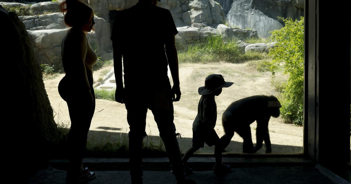 Inside the L.A. Zoo's messy $50-million breakup