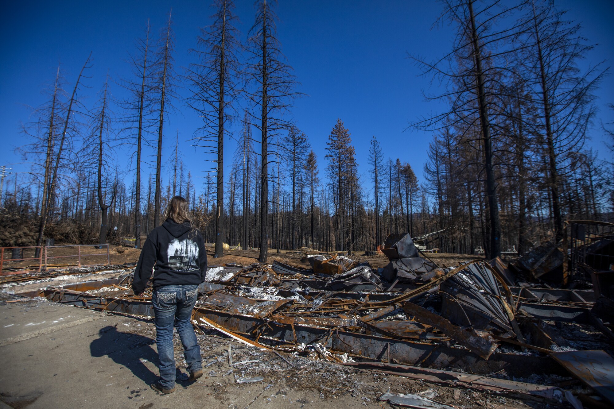 A woman walks among charcoaled trees,  surveying fire damage