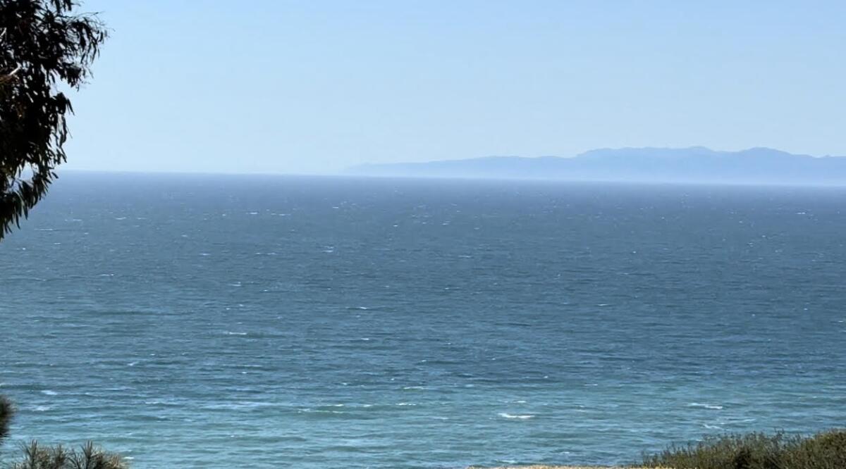 The view off Palos Verdes Drive on the way to Palos Verdes High.