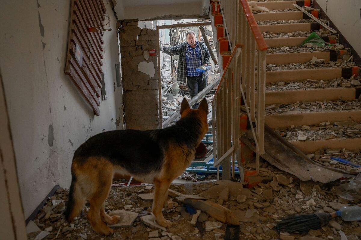 A man with a dog searches a destroyed building.