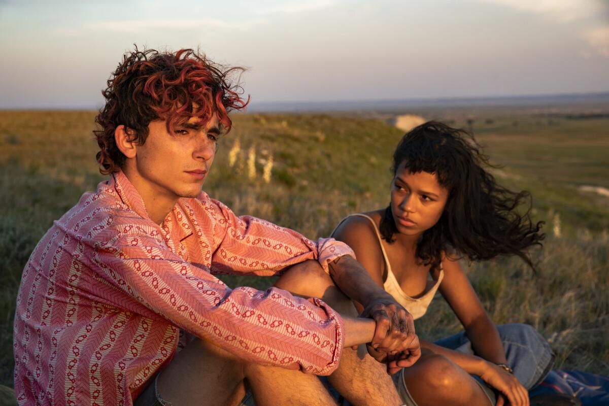 Timothée Chalamet as Lee and Taylor Russell as Maren sit in a field in "Bones and All."