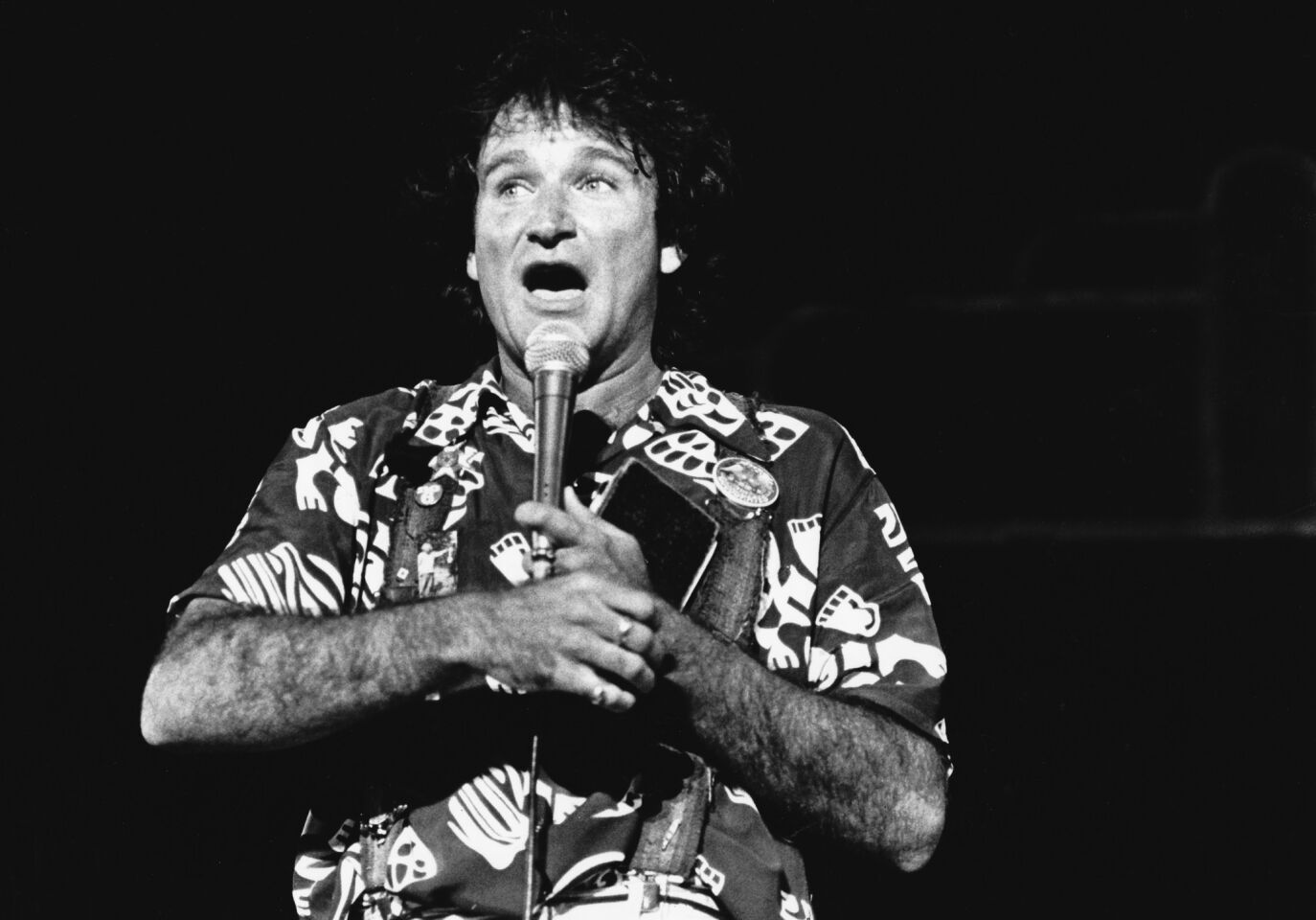 Robin Williams performs at the Universal Amphitheater on July 1, 1979