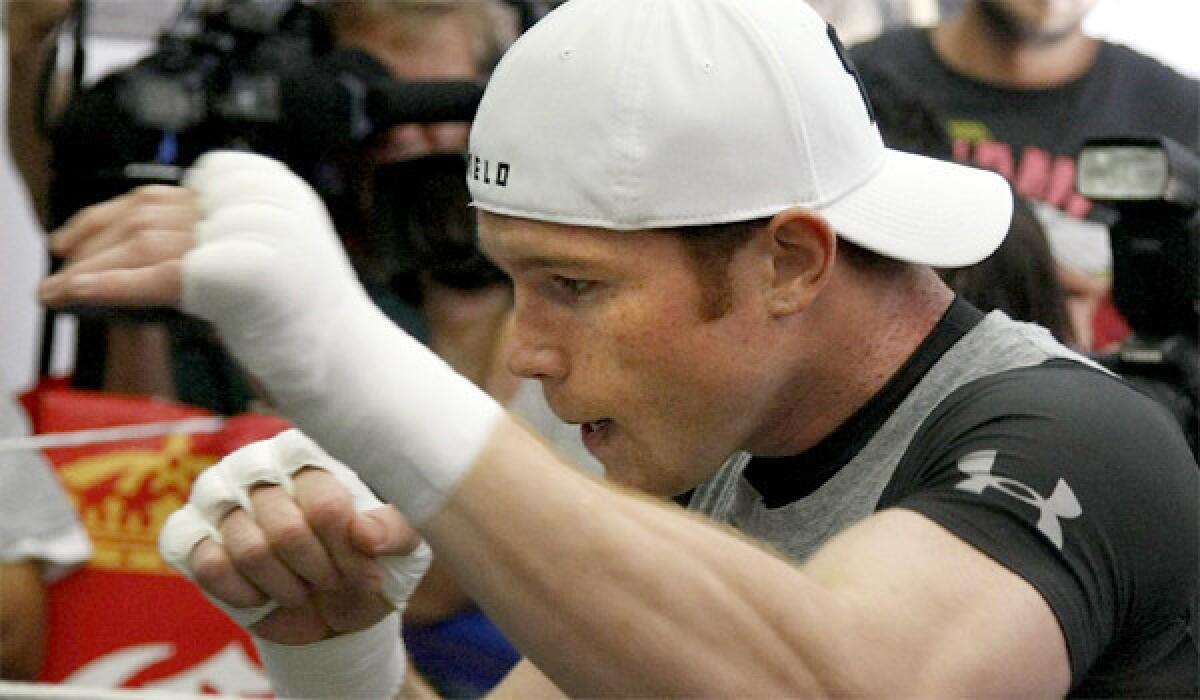 Saul "Canelo" Alvarez is looking to rebuild his image as a great fighter Saturday when he faces Alfredo Angulo in Las Vegas after suffering his first professional loss in September to Floyd Mayweather Jr.