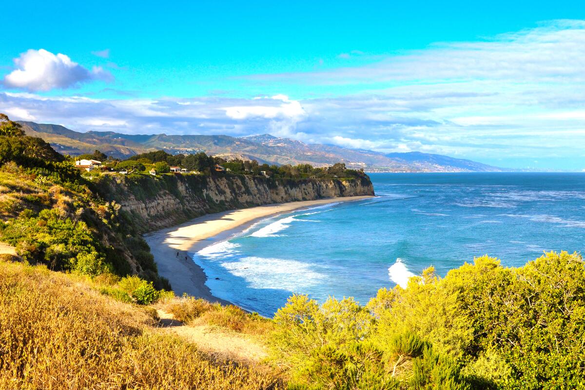 Best Price for Dume: Unbeatable Deals You Can't Miss