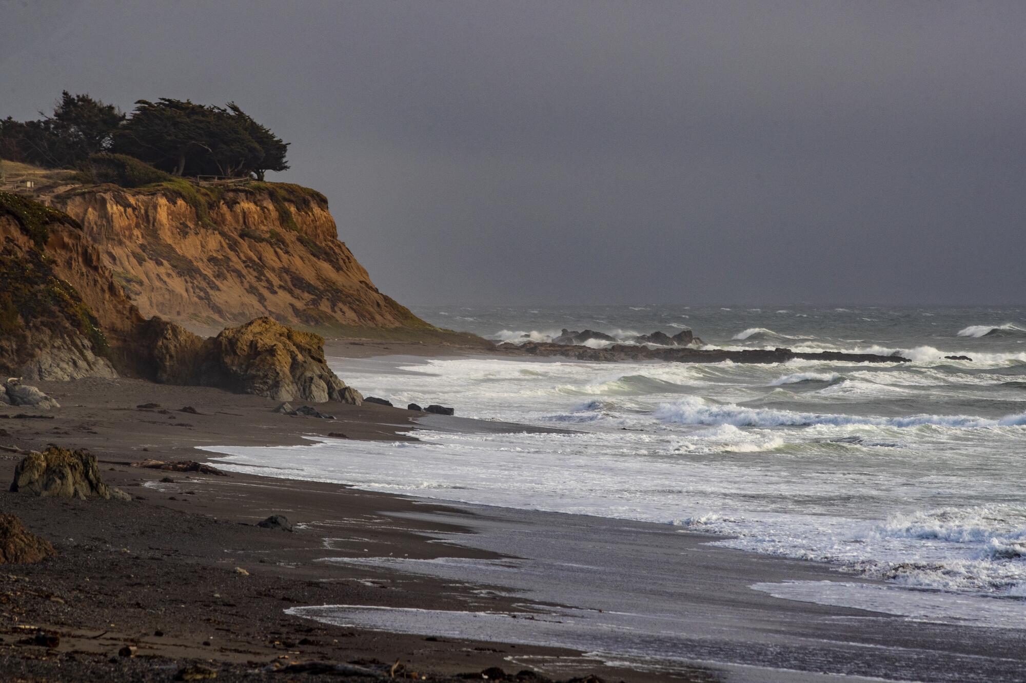 Trees are seen on a bluff as waves wash up on an empty beach.