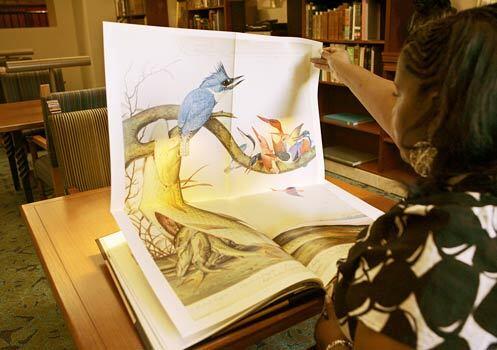 The paintings of Walton Ford recall 19th century natural science illustrations, British colonial art and, perhaps most noticeably, the work of John James Audubon. The new book "Pancha Tantra," from Taschen, pulls together a comprehensive overview of his work.