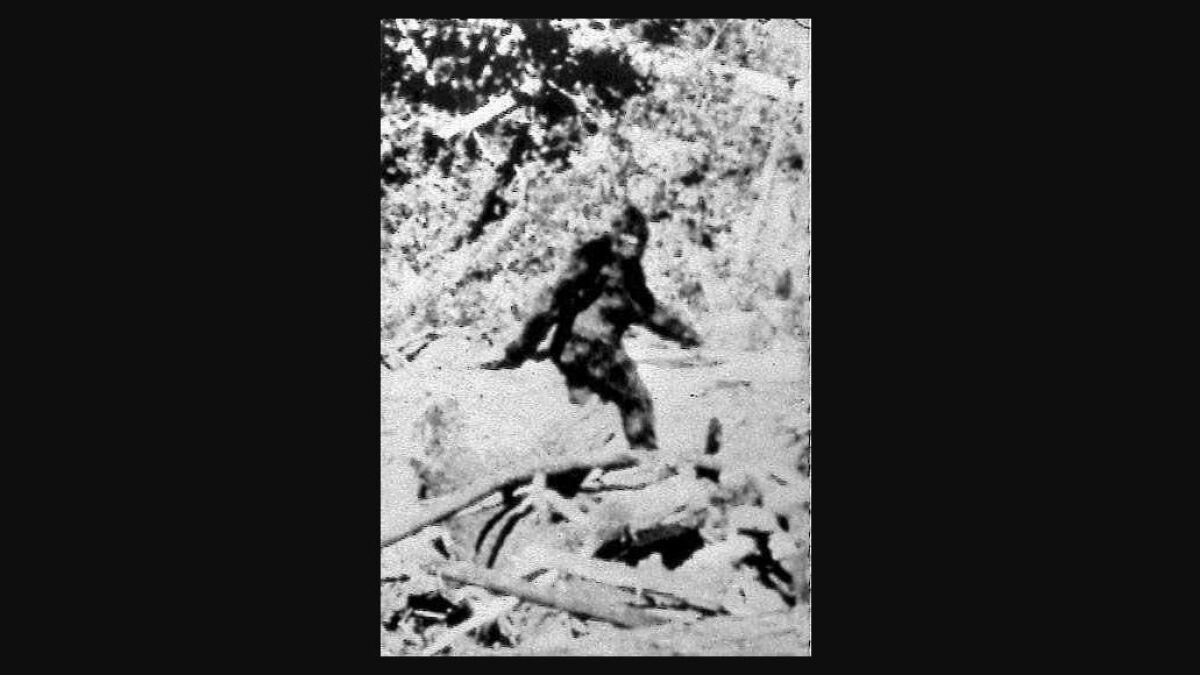 Bigfoot sighting reported in British Columbia ?url=https%3A%2F%2Fcalifornia-times-brightspot.s3.amazonaws