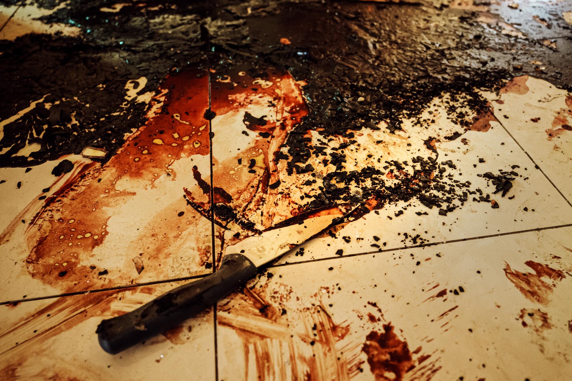 A bloodied knife spread across the floor inside a home that was forced into