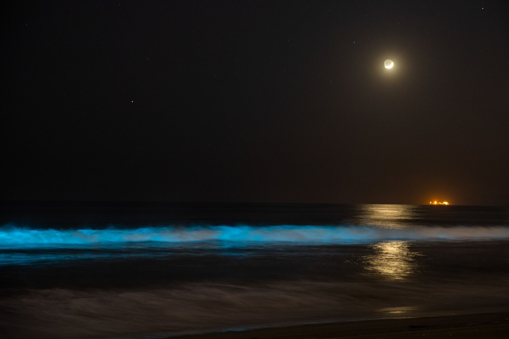 Bioluminescent waves glow off the coast of Hermosa Beach.