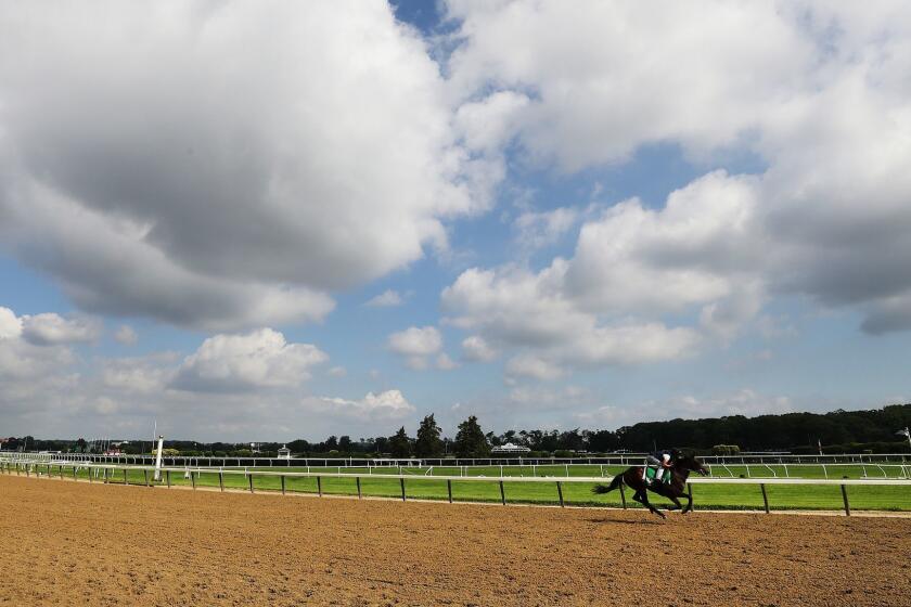 ELMONT, NEW YORK - JUNE 06: A general view of a horse and Exercise Rider training prior to the 151st running of the Belmont Stakes at Belmont Park at Belmont Park on June 06, 2019 in Elmont, New York. (Photo by Al Bello/Getty Images) ** OUTS - ELSENT, FPG, CM - OUTS * NM, PH, VA if sourced by CT, LA or MoD **