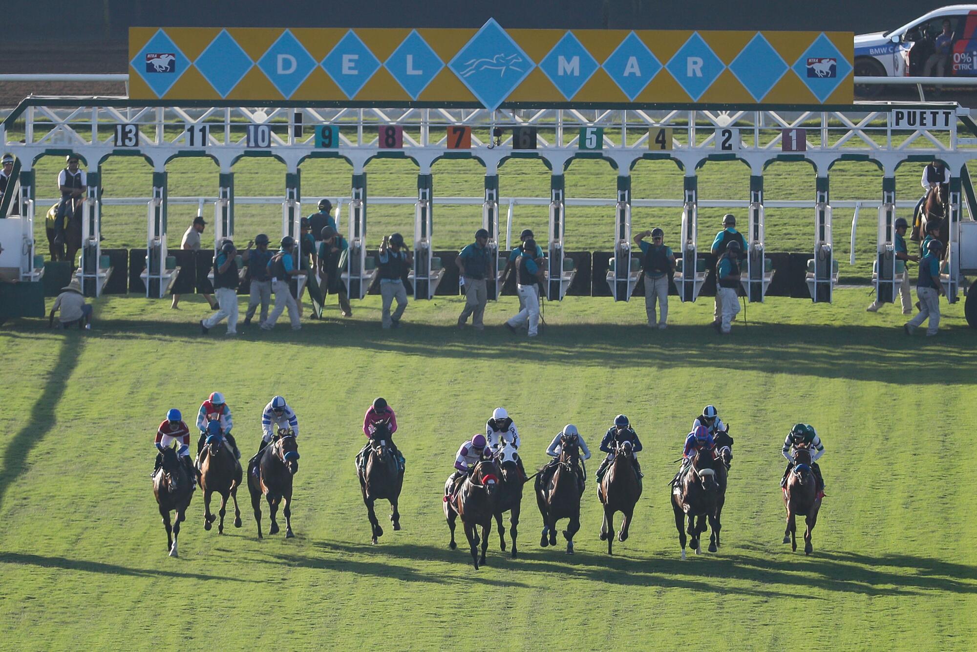 Horses sprint from the gates during the final race of opening day.