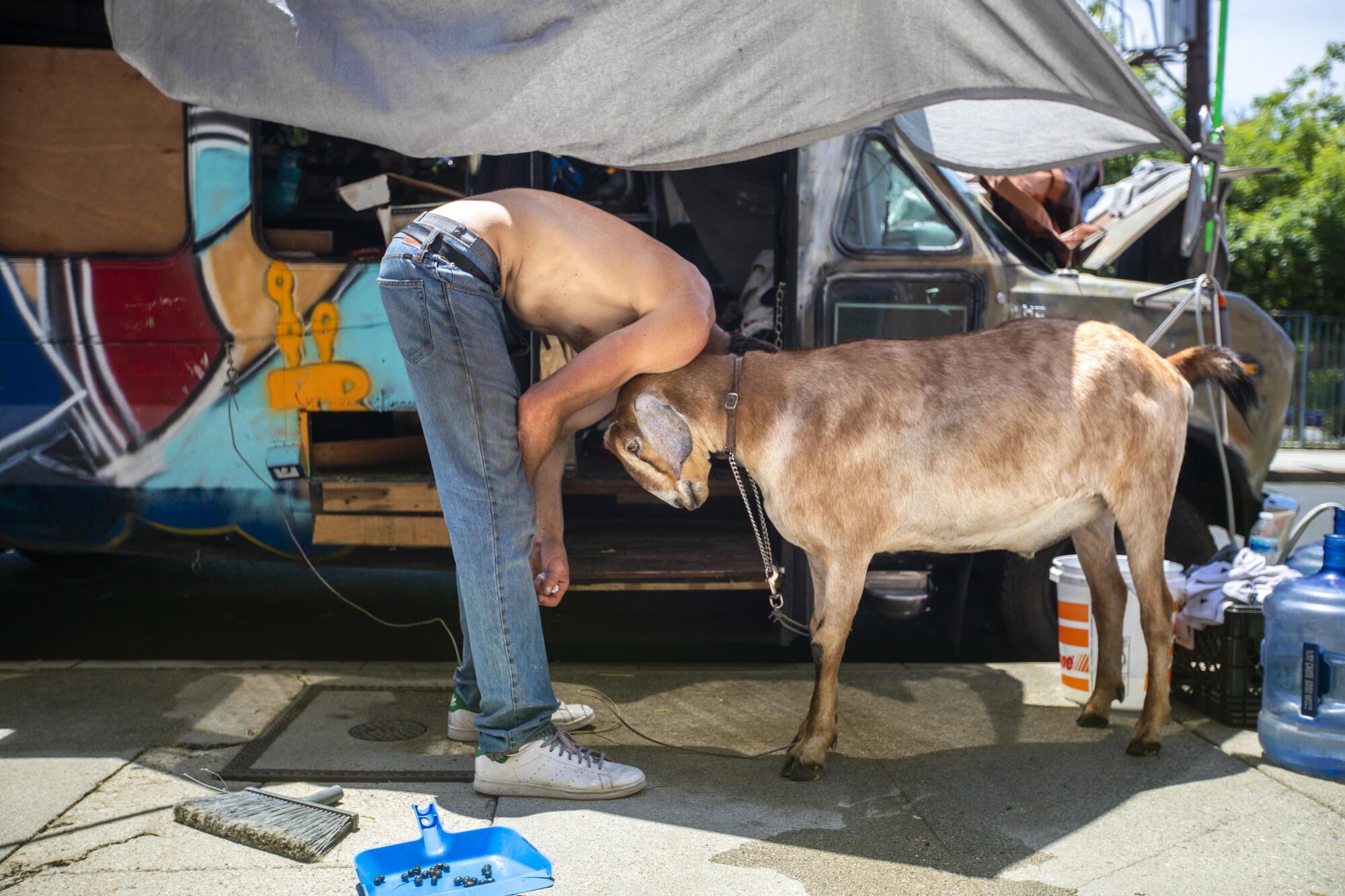 A man bends down next to his pet goat