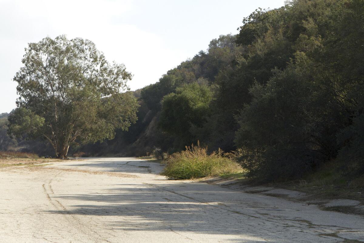 Begin your hike on South La Tuna Canyon Road, a paved road just south of the 210 Freeway off La Tuna Canyon Road in Sunland.