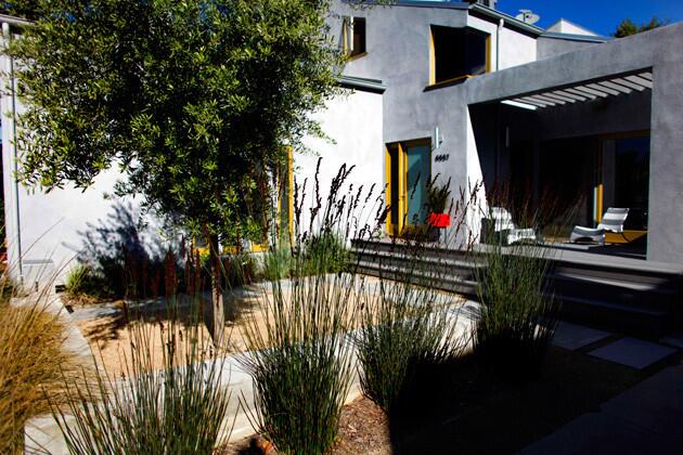 The approach to the house is a silvery-green sea of California native shrubs and gently swaying grasses. There's the soft crunch of gravel and decomposed granite underfoot and the dappled shade from a Mediterranean olive tree overhead. Wide steps and a shaded seating area span the front of the house.