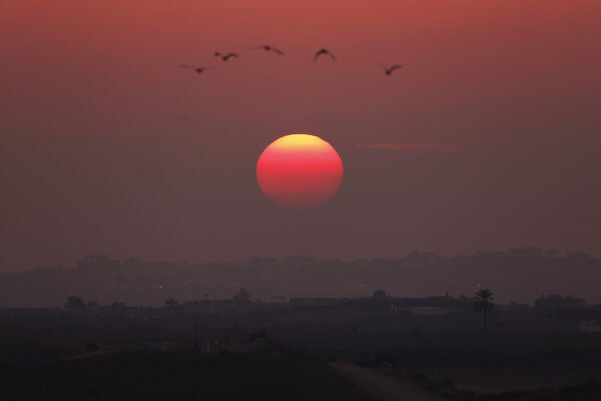 Birds fly over the central Gaza Strip as the sun sets, as seen from a hill at the Israeli town of Sderot.
