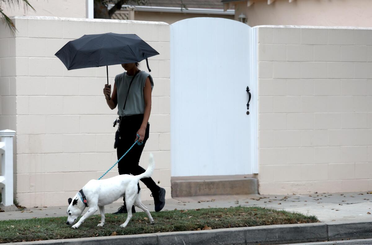 A woman walks her dog holding an umbrella.