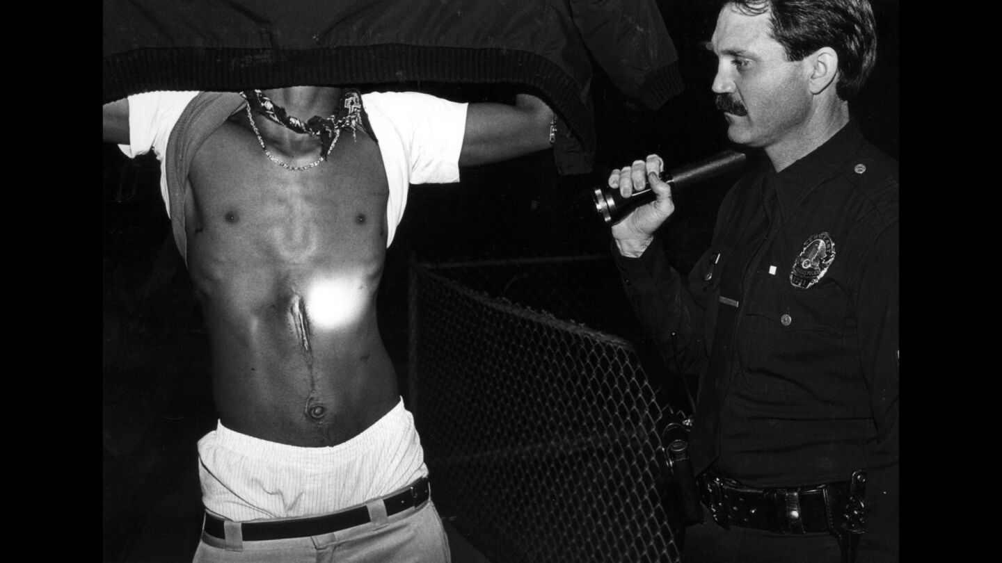Los Angeles Police Sgt. Jim Wakefield examines the gunshot scar on the abdomen of a member of the Playboy Gangsters in the Cadillac-Corning neighborhood.